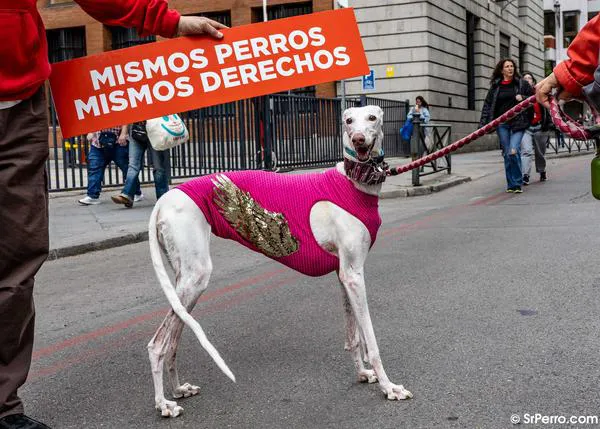 Cientos de personas exigen que todos los perros, también los de caza y trabajo, tengan la misma protección legal