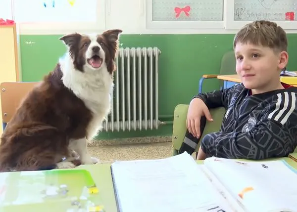 Furia, la perra que se ha hecho famosa porque ayuda a los estudiantes de un colegio en Albuñuelas, Granada