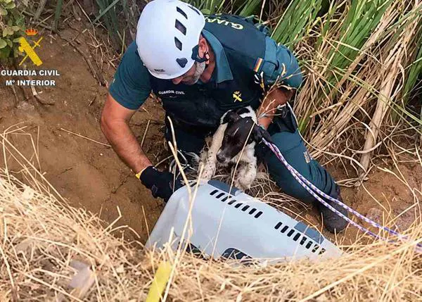 Agentes del SEPRONA rescatan a dos perros abandonados en una poza de 5 metros en Ciudad Real