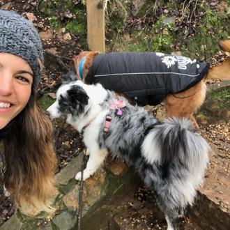 Pasión por enseñar y pasión por los perros: el viaje …