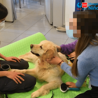 Las intervenciones asistidas con perros ayudan a adolescentes con Trastorno …