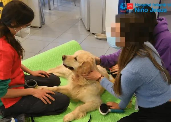Las intervenciones asistidas con perros ayudan a adolescentes con Trastorno de la Conducta Alimentaria