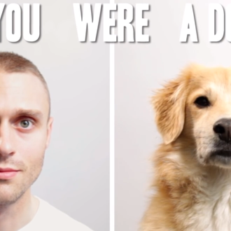 ¿Cómo sería tu vida si fueras un perro? Dormirías y …