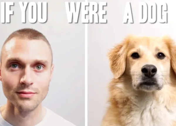 ¿Cómo sería tu vida si fueras un perro? Dormirías y comerías el doble y olerías el mundo