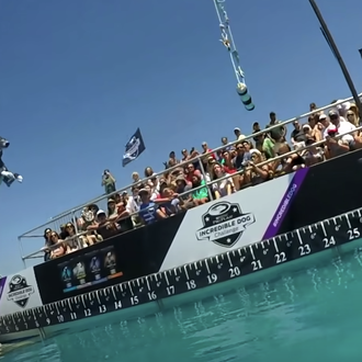 El deporte de los perros que vuelan.... al agua: Dock …