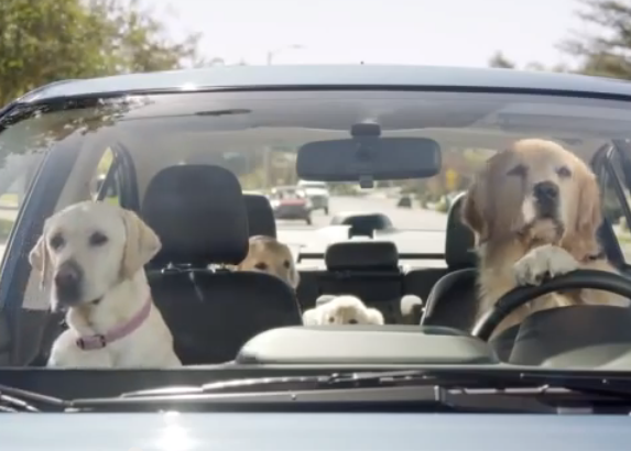 Anuncios con perros que hacen sonreír: Subaru consigue una actuación canina de Oscar