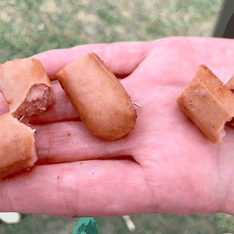 Una perra ingresada tras haber comido salchichas con alfileres en …