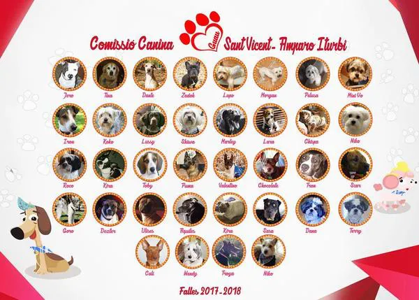 Una comisión canina y solidaria en las Fallas de Valencia, el #proyectoguau