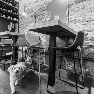 De Girona a Madrid, (estupendos) locales donde tomar los mejores …