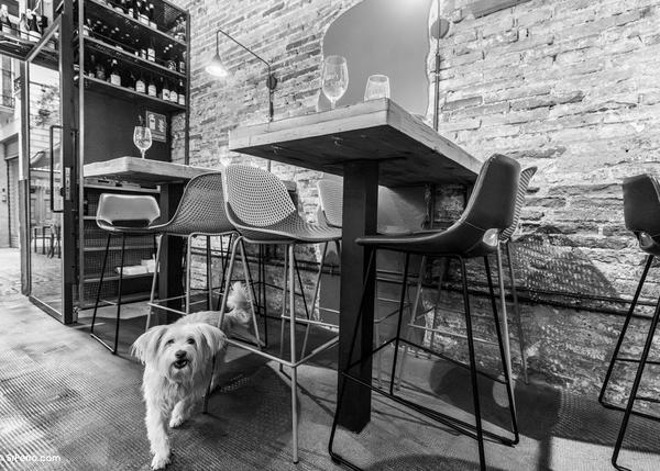 De Girona a Madrid, (estupendos) locales donde tomar los mejores vinos naturales junto a tu perro