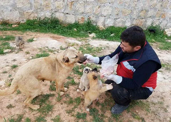 El hombre de los gatos de Aleppo, el hombre de los perros: un hombre bueno en medio de una guerra
