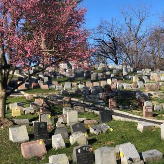 El cementerio de animales más antiguo del mundo y otros …