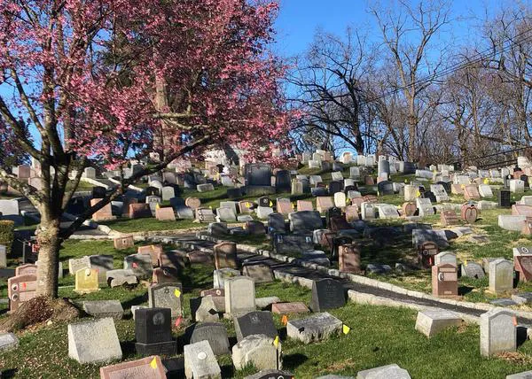 El cementerio de animales más antiguo del mundo y otros cementerios donde descansan humanos y perros juntos