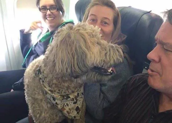 Las líneas aéreas permiten a los evacuados del masivo incendio en Canadá volar con sus perros