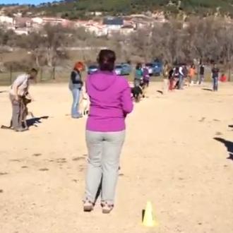 Organizan un Flashmob en Madrid e Ibiza para promover el …