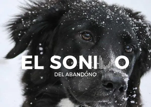 El Sonido del Abandono: una campaña solidaria para denunciar la realidad de demasiados animales