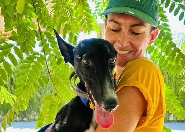 La historia de Junco, un Galgo que no puede andar, que tiene 