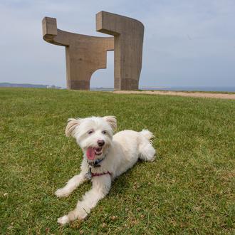 El Gobierno de Asturias 