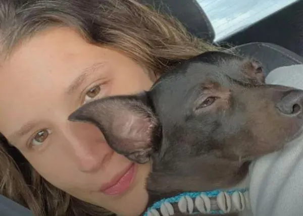 Una línea aérea pierde a la perra de una pasajera: su Chihuahua lleva 10 días desaparecida en el aeropuerto de Atlanta