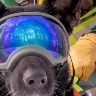 La Guardia Civil rinde un precioso homenaje en redes a …