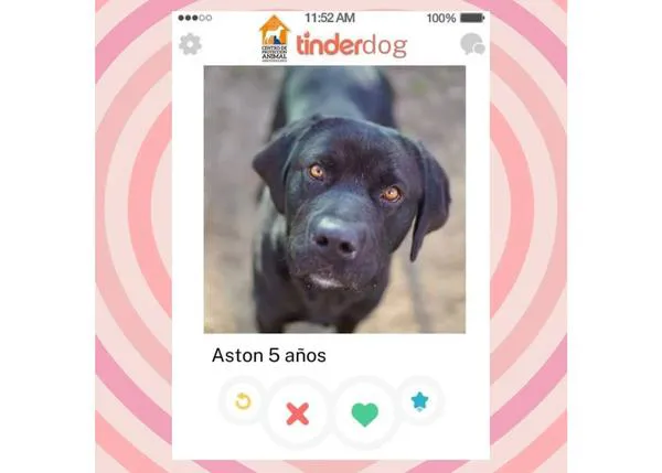 ‘Tinder’ de la adopción en Salvando Peludos por San Valentín y jornada de puertas abiertas el 12 de febrero