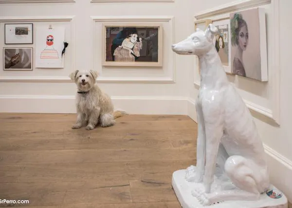 Una razón más para visitar la galería de arte más perruna de Madrid: recogida solidaria en Échale Guindas