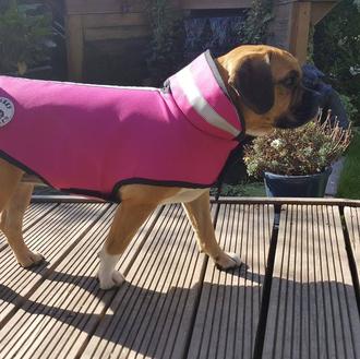 Inventos rarunos pero reales: la armadura para perros pequeños