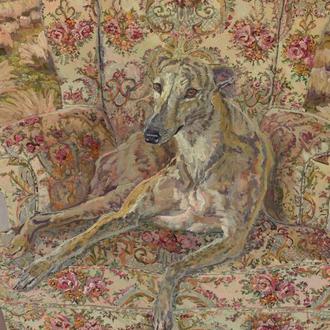 El retrato de una bella Galga descansando en un sofá …