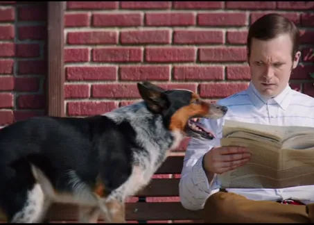 Escucha a los perros, déjate guiar por su instinto y tu día mejora de inmediato: simpático anuncio de Volkswagen