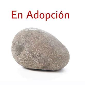 Una piedra es la gran protagonista de un mensaje para …