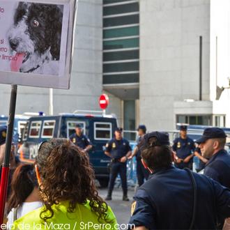 ¡Cuidado! Que los perros van a tomar el Congreso... VII …