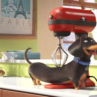 Mascotas (The Secret Life of Pets): una peli de animación …