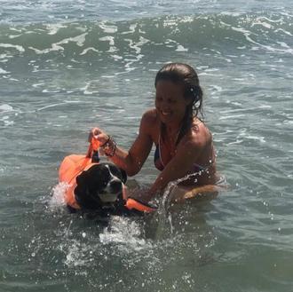 Las carreras y baños felices de los perros discapacitados de …
