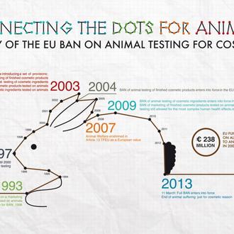 5º aniversario de la prohibición de la UE de la …