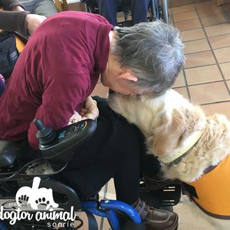 El equipo perri-humano de Dogtor Animal apuesta por el cariño …