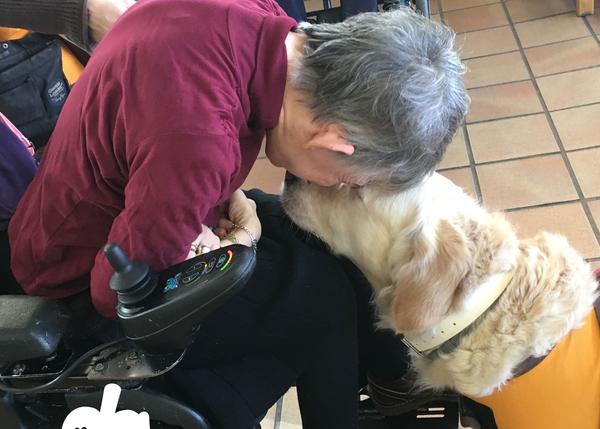 El equipo perri-humano de Dogtor Animal apuesta por el cariño, el corazón y la conexión