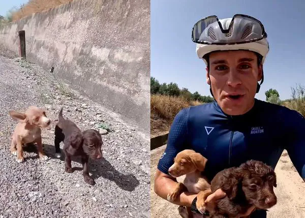Una sesión de entrenamiento del triatleta Samuel Montero Vera termina ¡rescatando a dos cachorros!