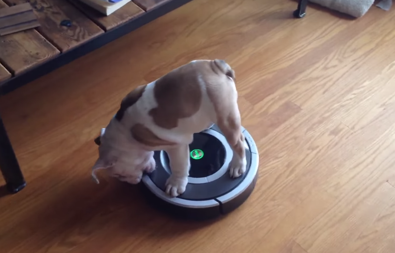 Roomba juguete online