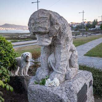 Homenajes perrunos en España: desde Moaña a Oviedo pasando por …