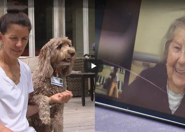 Las visitas virtuales de una perra de terapia animan a los mayores en una residencia