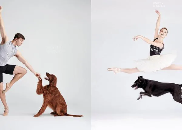 Bailarines y perros, una elegante serie fotográfica de altos vuelos que también hace sonreír