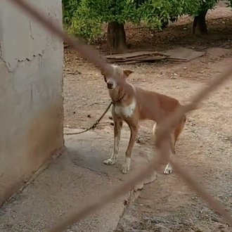 ¿Cuánto tardan en actuar las autoridades tras una denuncia ante …