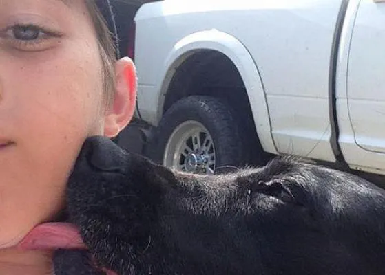 El pequeño ladrón de besos caninos ¡por fin puede tener su propio perro!