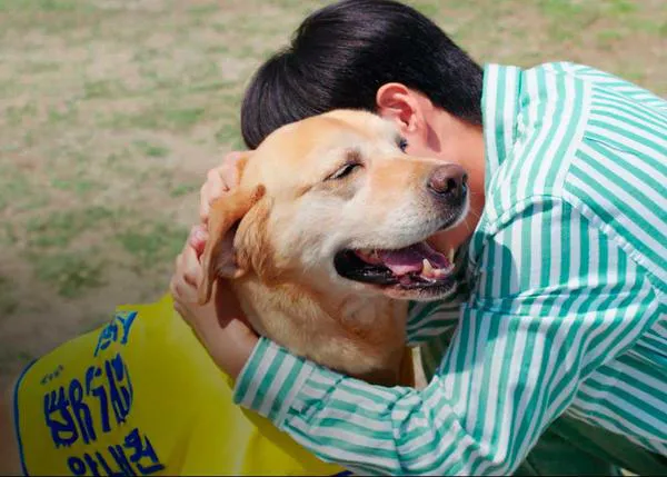 Una escena de ficción con la que sueñan muchas, muchas personas con perro: Hasta que el cielo nos reúna