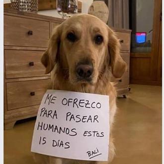 La Guardia Civil identifica y denuncia a una persona que …