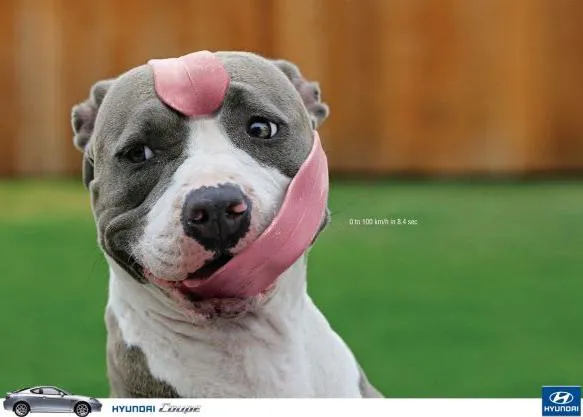 Perros y publicidad: 10 anuncios que arrancan sonrisas