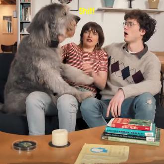 Inventos loquitos: el collar perruno que 