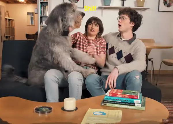 Inventos loquitos: el collar perruno que 