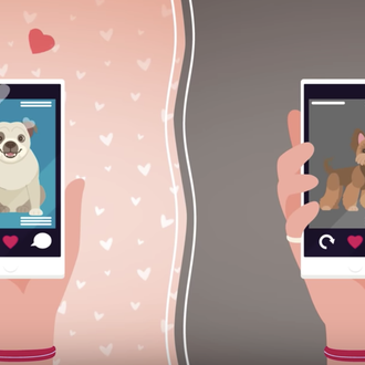 La biología del vínculo entre perros y humanos: hechos los …
