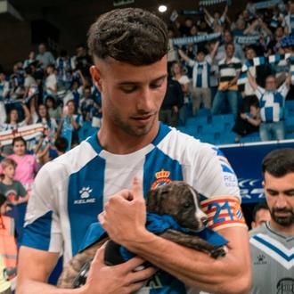 8 de los 11 perretes que salieron al campo del …
